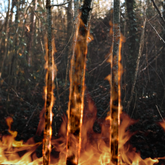 VFX ( Incendie ) | CLIENT : Claudio Cappuchino